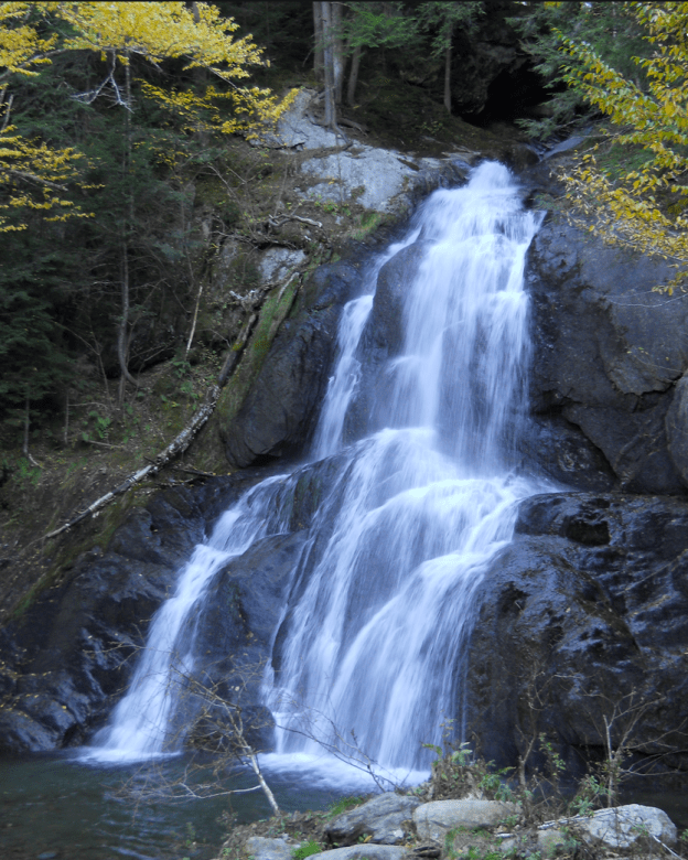 Screen Shot 2020-01-19 at 10.48.54 AM